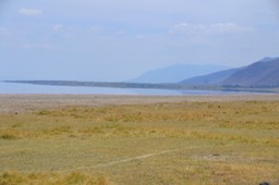 Manyara Lake