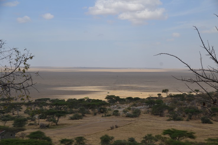 View of Serengeti