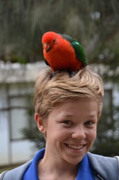 Quinn doesn't mind the bird on his head