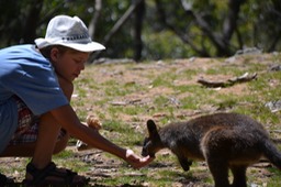 Wallaby eating out of Quinn's hand