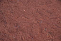 Shoeprints in the red sand