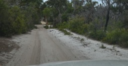 Fraser Island  - all the roads look like this