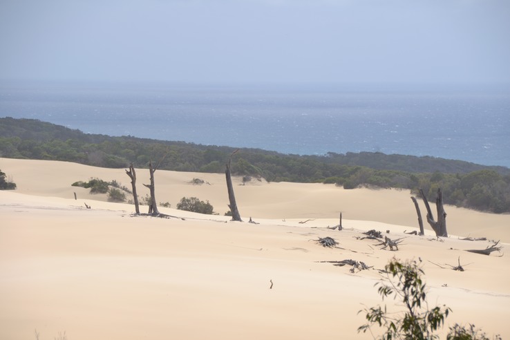 Fraser Island Sandblow