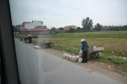 Selling potatoes on roadside