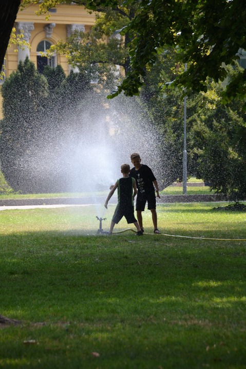 Cooling off in the Sprinklers